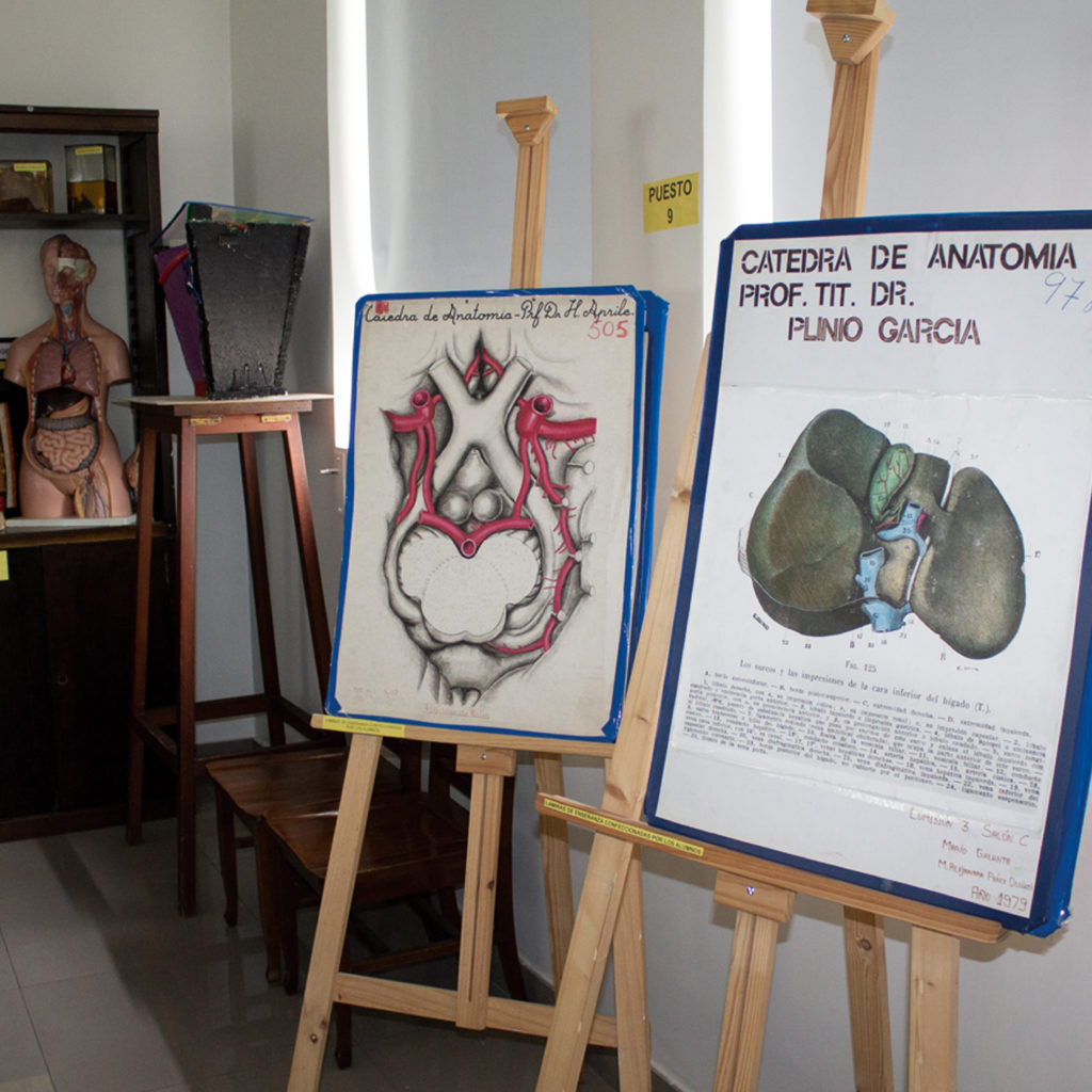 Láminas de enseñanza realizadas por los alumnos.