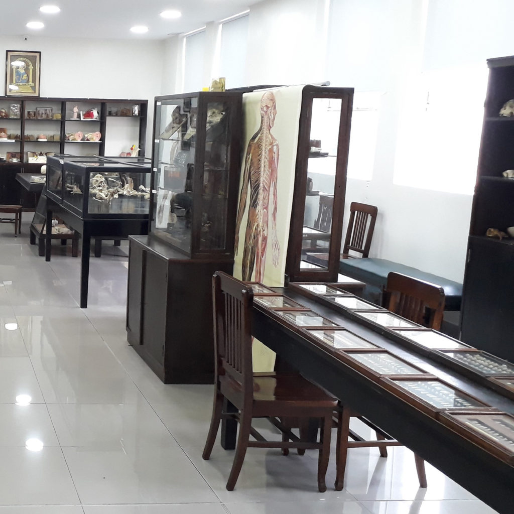 Museo de la Cátedra de Anatomía Prof. Dr. Francisco Rophille